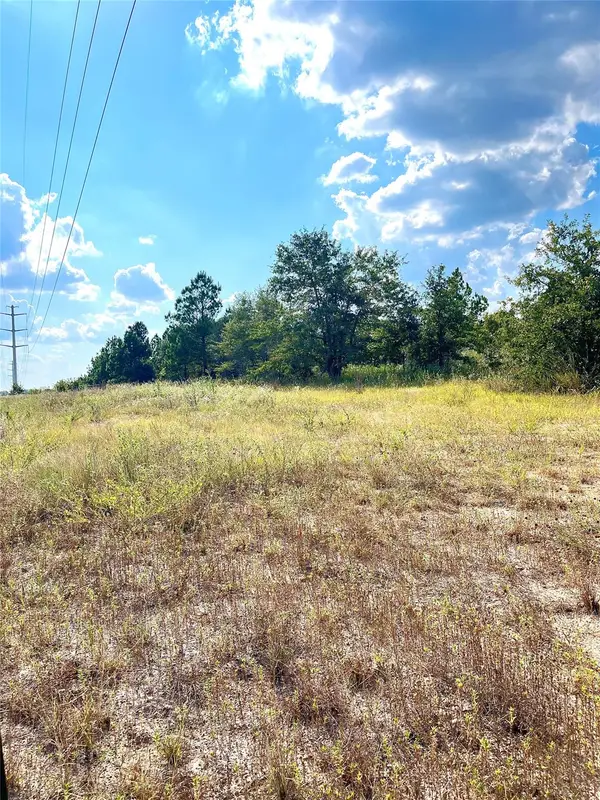 TBD Ponderosa Loop, Paige, TX 78659