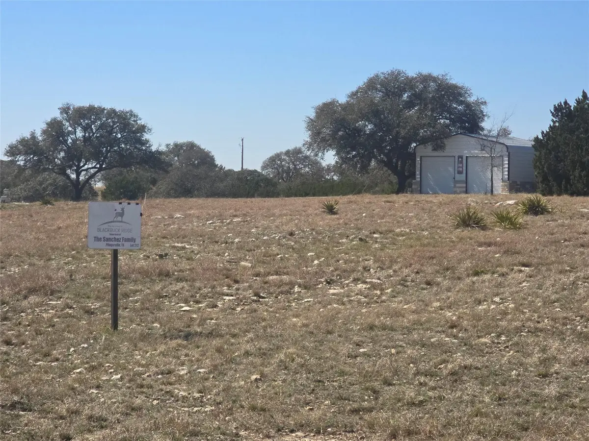 230 Bush Bok Dr, Burnet, TX 78611 - #1