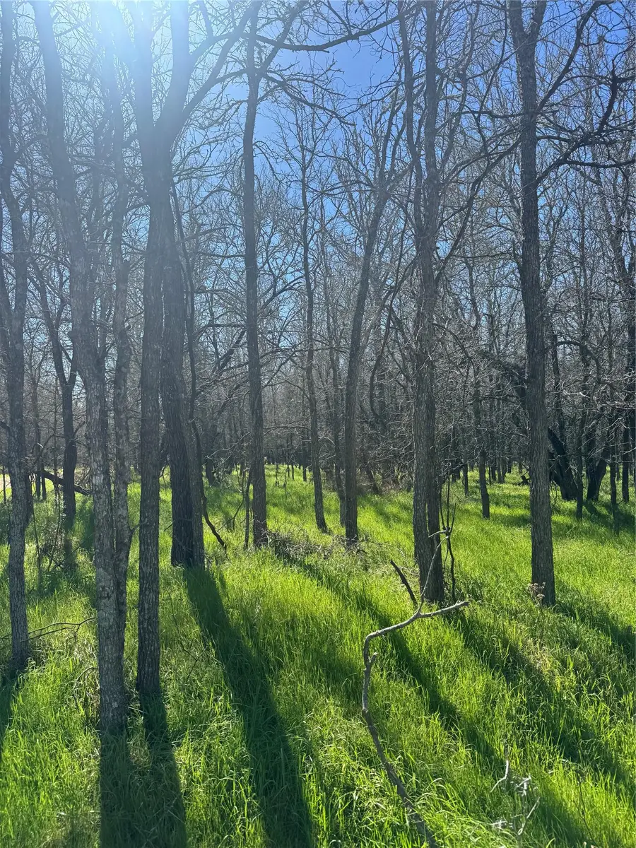 Lots 499 and 500 Kaaawa Ln, Bastrop, TX 78602 - #3