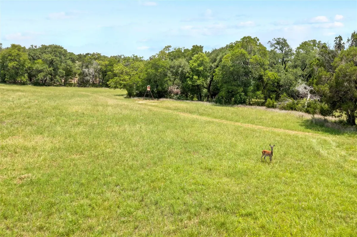 TBD Posey Ranch Rd, Fischer, TX 78623 - #1