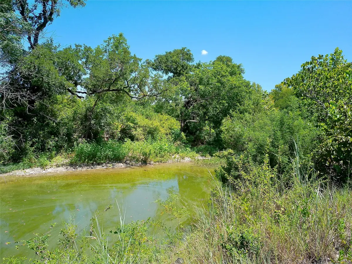 204 Serenity Dr, Liberty Hill, TX 78642 - #1
