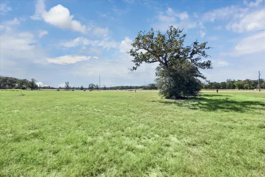 137 Waterbuck Way, Rosanky, TX 78953 - Image #3