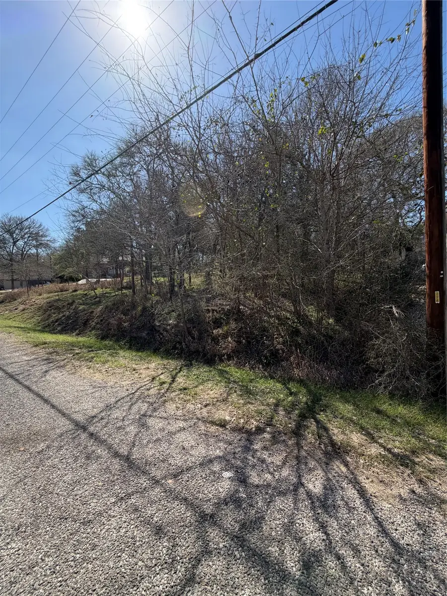 Lot 314 Moku Manu Dr, Bastrop, TX 78602 - #3