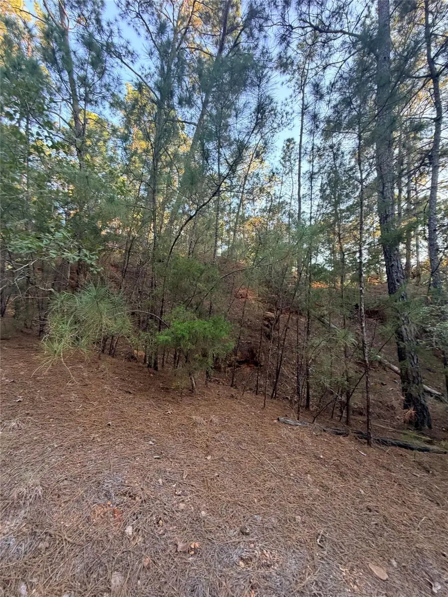 TBD Okoe Ct, Bastrop, TX 78602 - #2