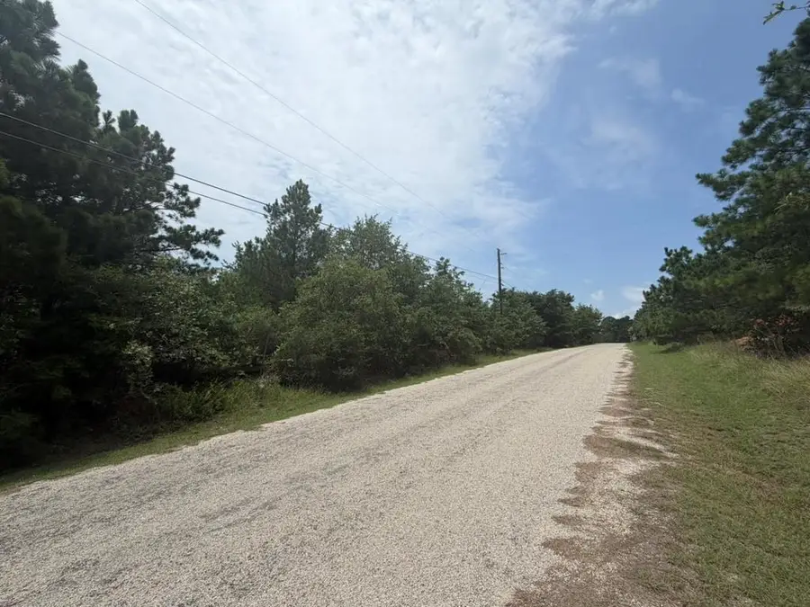 151 S Buckhorn Dr, Bastrop, TX 78602 - #3