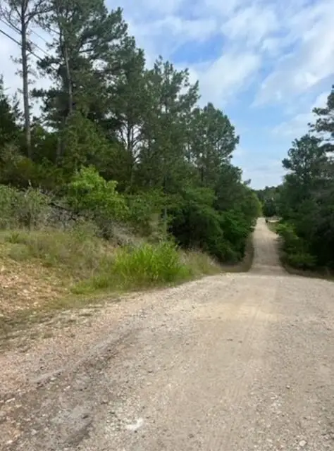 Lot 345 Wainee Dr, Bastrop, TX 78602 - #2