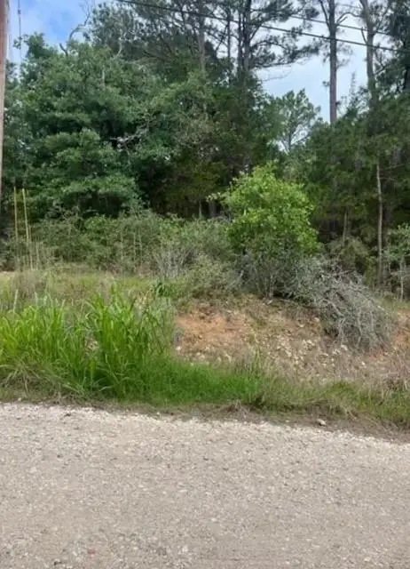 Lot 345 Wainee Dr, Bastrop, TX 78602 - #3