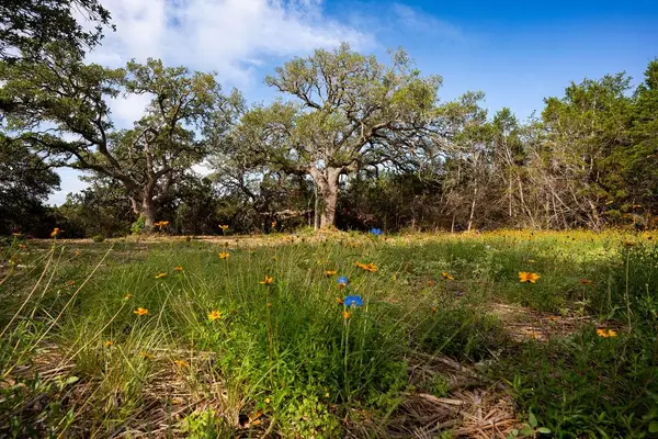 TBD Gatlin Creek Rd, Dripping Springs, TX 78620