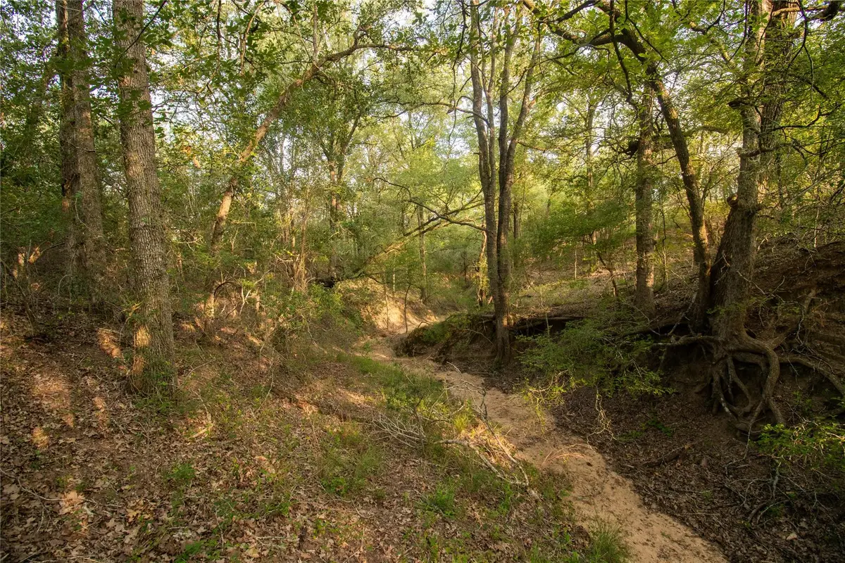 438 Firefly Field Ln, Seguin, TX 78155 - #1