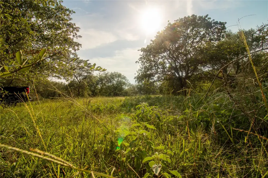 438 Firefly Field Ln, Seguin, TX 78155 - #2