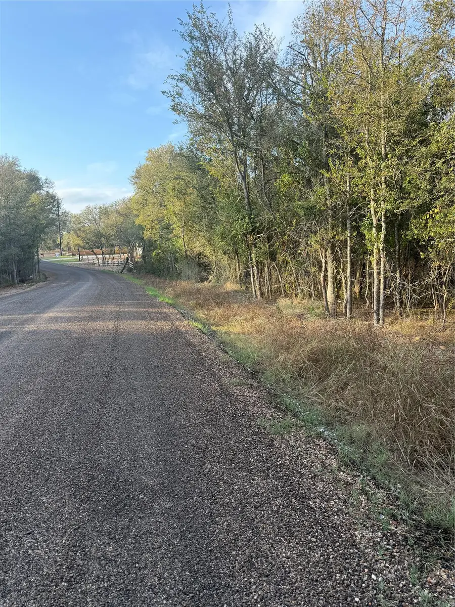 172 Helemano Dr, Bastrop, TX 78602 - #3