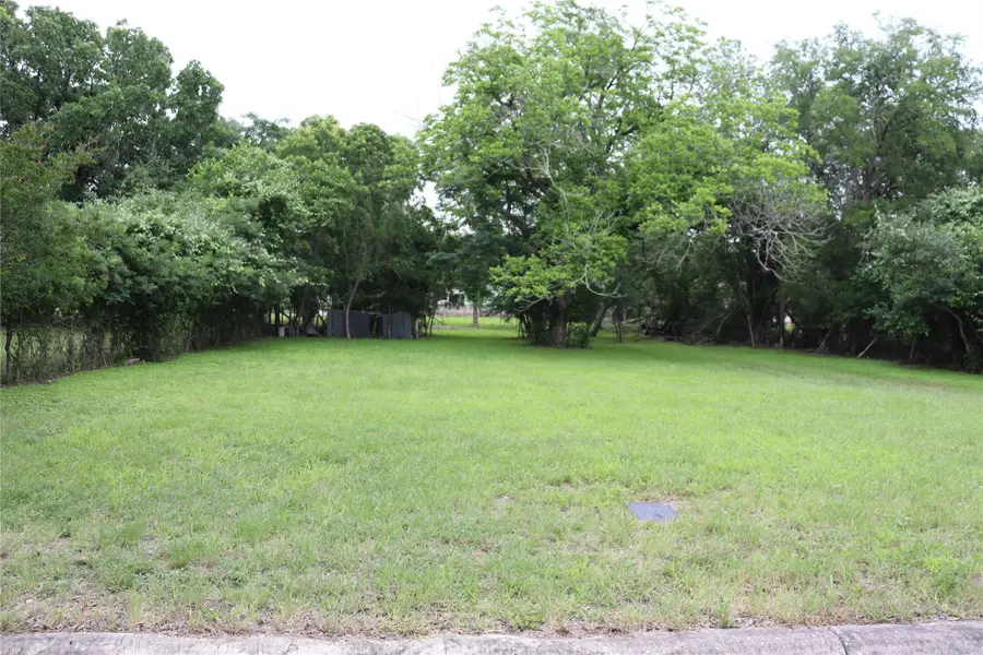 1006 Johnson St, Lockhart, TX 78644 - #2