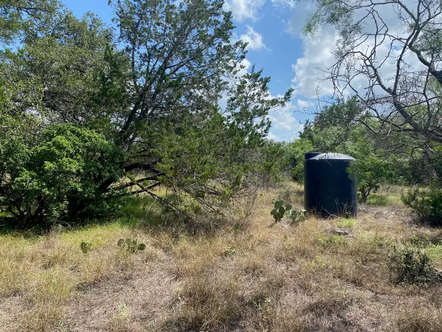 Lot 31 Pedernales Oaks Rd Rd, Johnson City, TX 78636 - #2