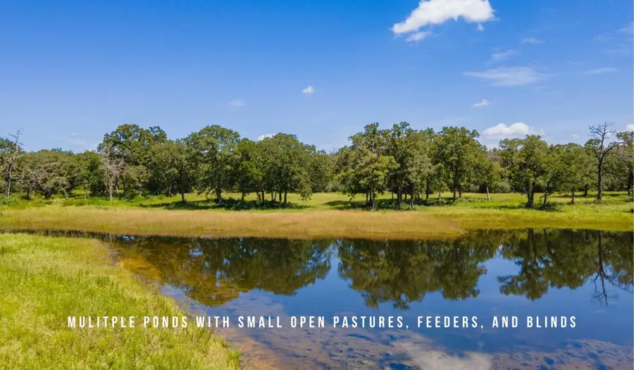 TBD County Road 405 (+/- 839 Acres), Lexington, TX 78947 - #3