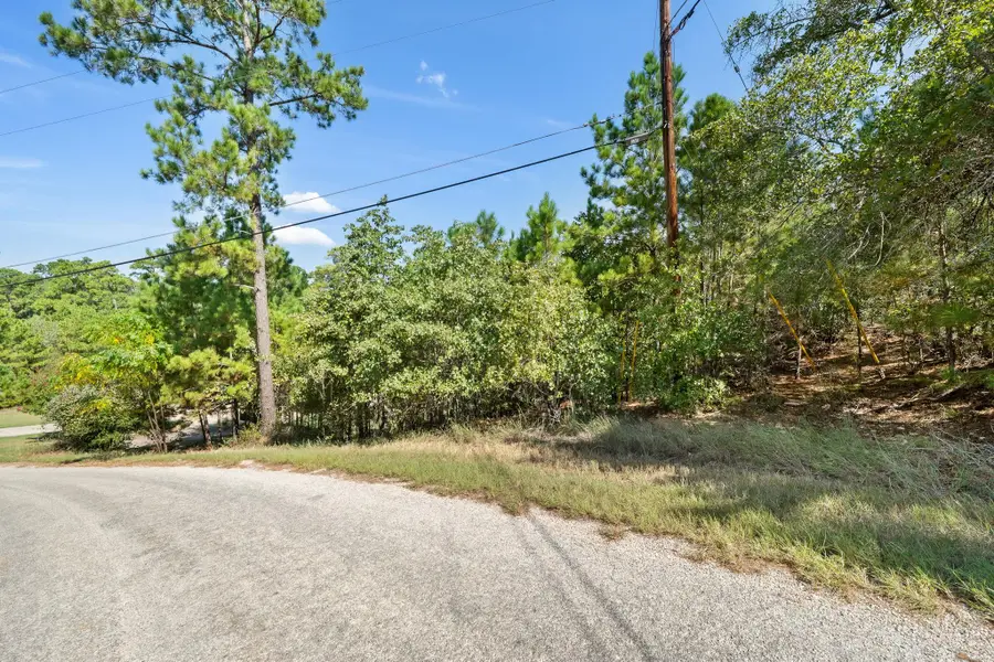 TBD 847 Mamalu Dr, Bastrop, TX 78602 - Image #2