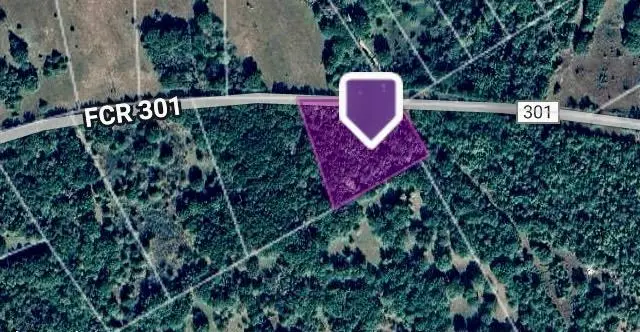 TBD County Road 301 Tract 7 Rd, Butler, TX 75855 - Image #3