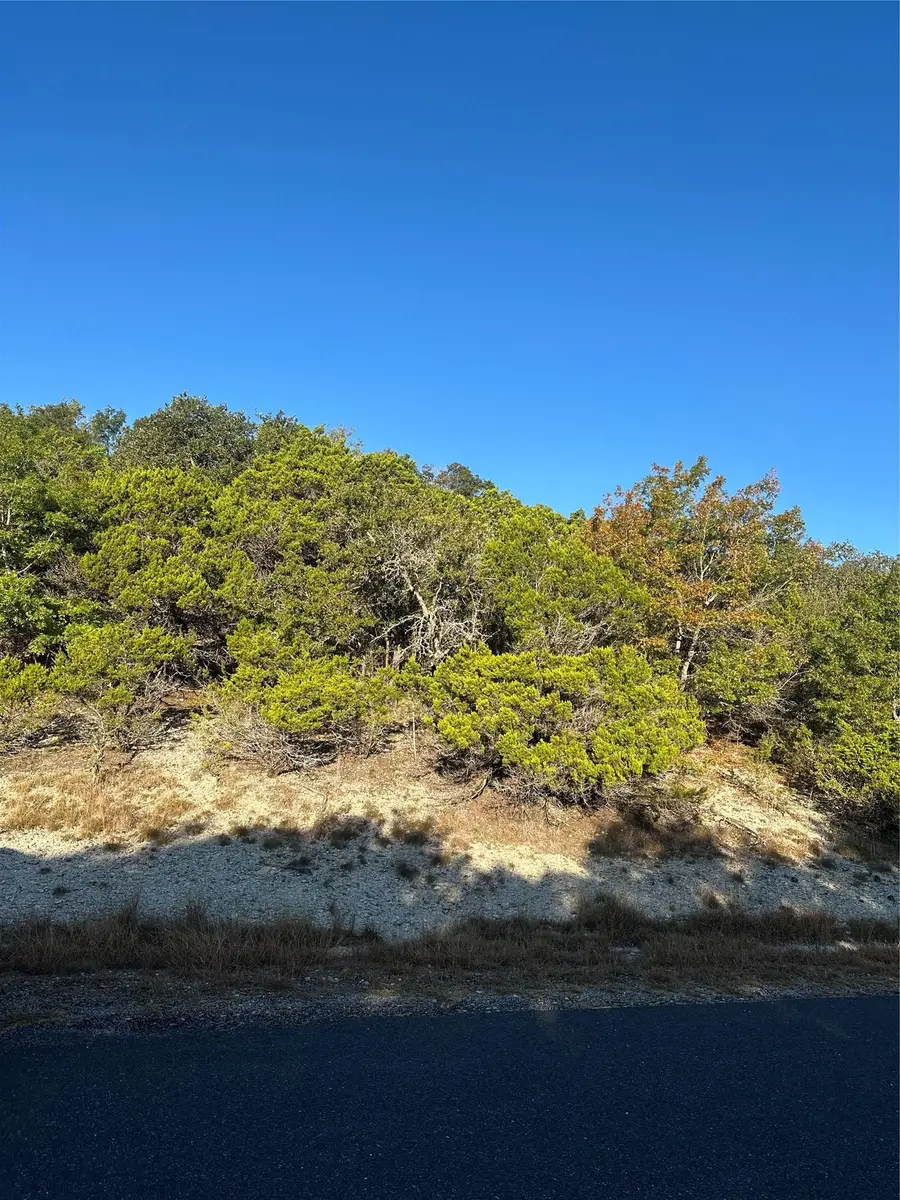 7397 Amber Rene Dr, Belton, TX 76513 - #3