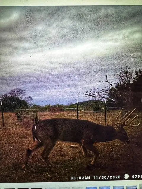 000 County Road 2699, Goldthwaite, TX 76853 - Image #2