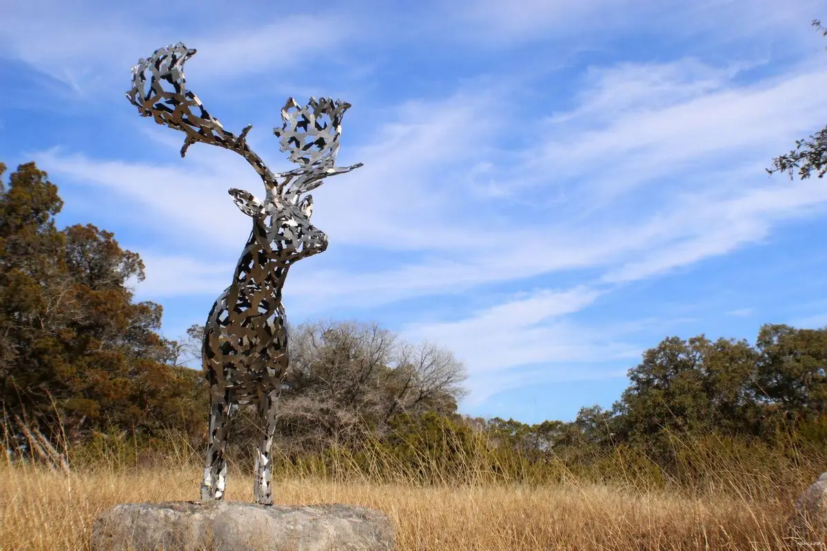 Lot 6 Gene Walker Trl, Hunt, TX 78024 - #1