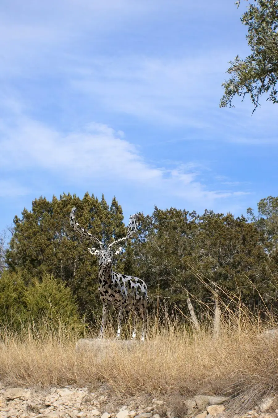 Lot 6 Gene Walker Trl, Hunt, TX 78024 - #2