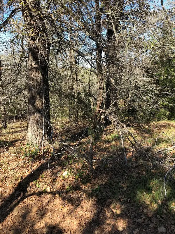 2000 South St, Bastrop, TX 78602