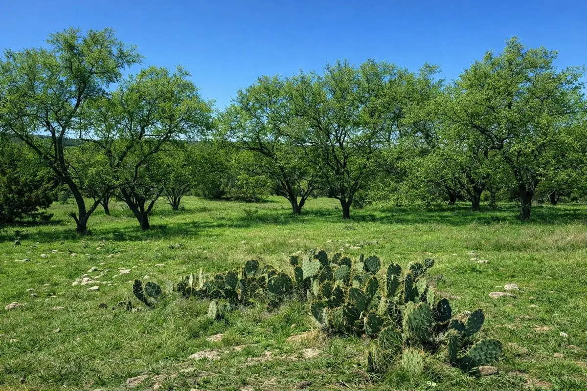 TBD View Cir, Lampasas, TX 76550 - #1