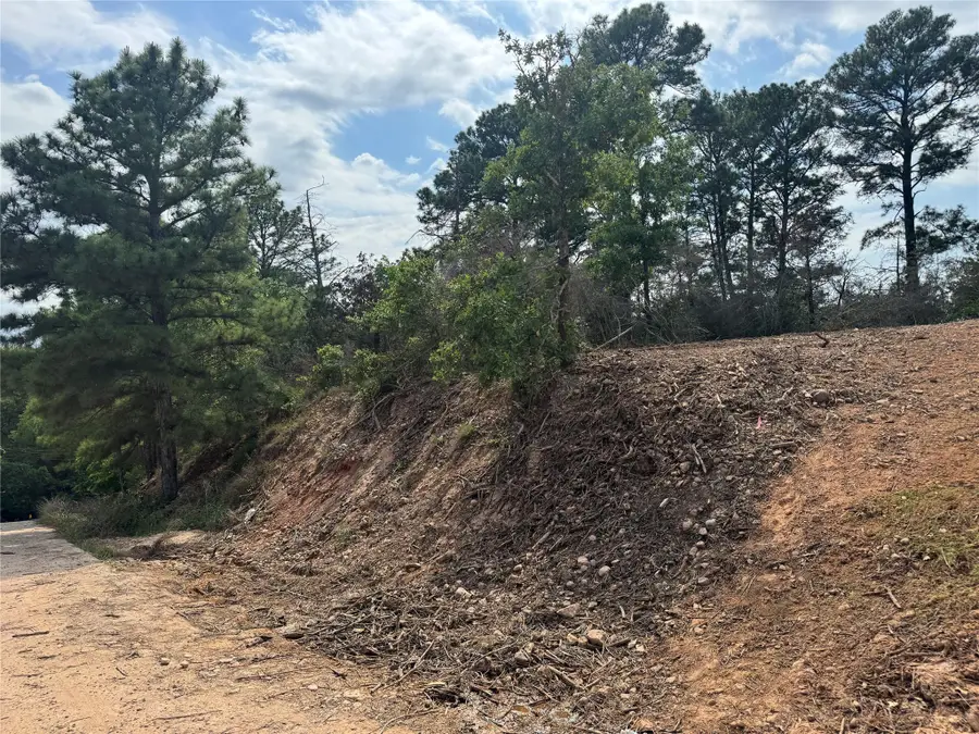 Lot 1263 Hanauma Dr, Bastrop, TX 78602 - #2