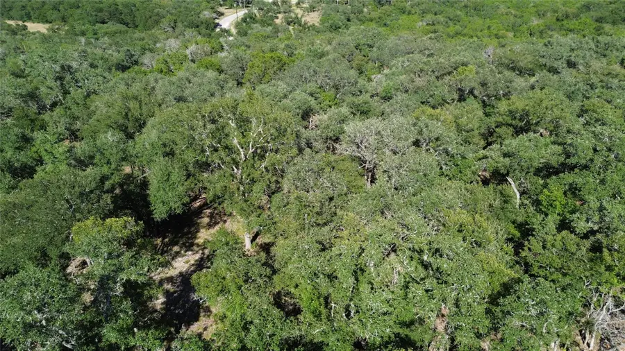 1918 (Lot 8) Woodford Ct, Salado, TX 76571 - #3