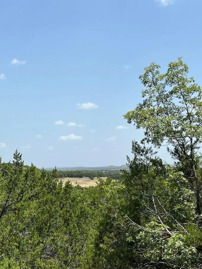 1580 County Road 2113 Rd, Lometa, TX 76853 - #3