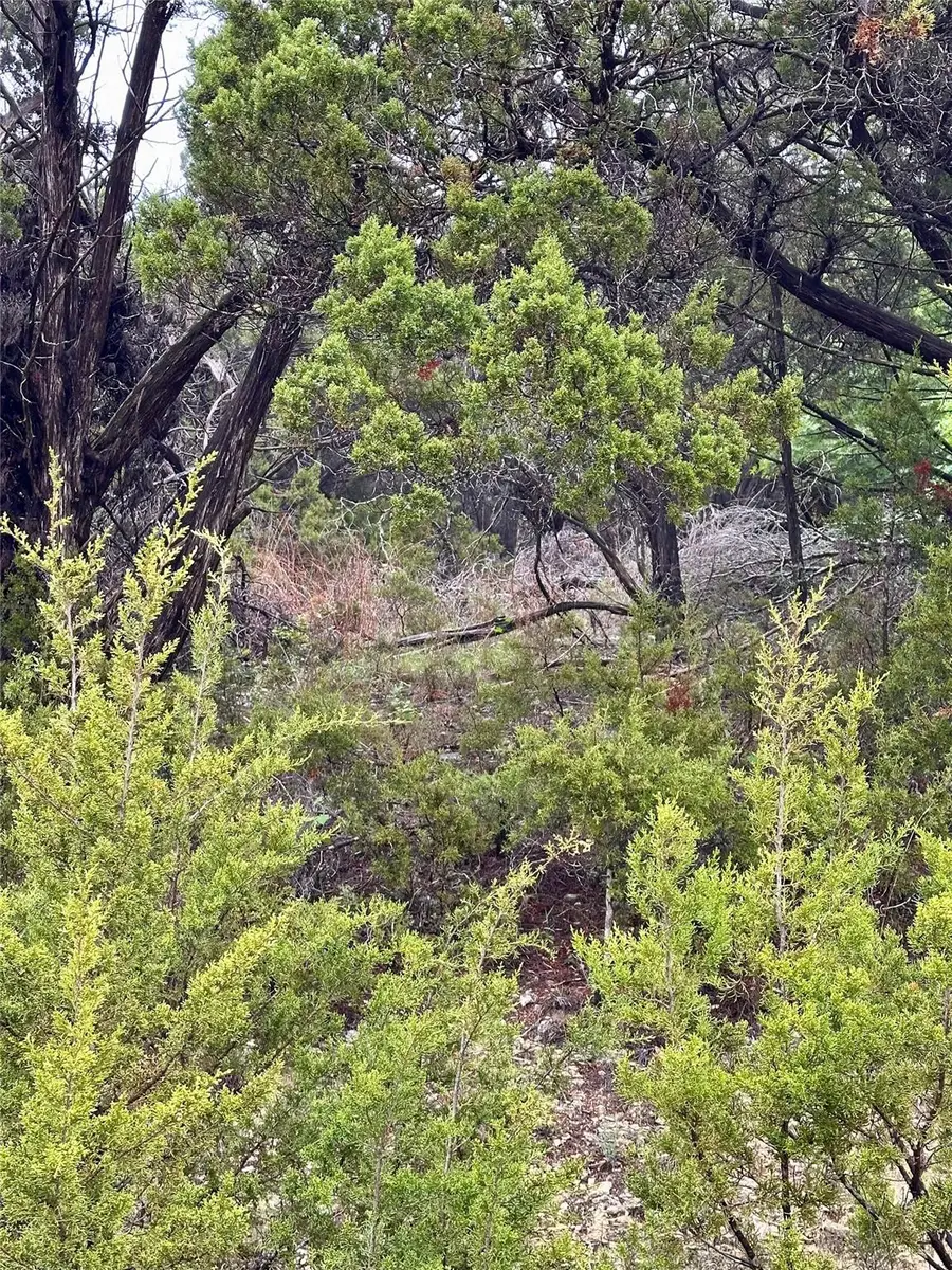 8419 Briar Wood Cir, Lago Vista, TX 78645 - #3