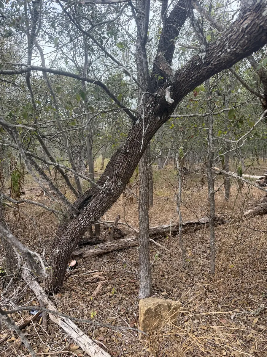Lots 298, 300 and 54 Riverside And Kahana Dr, Bastrop, TX 78602 - #3