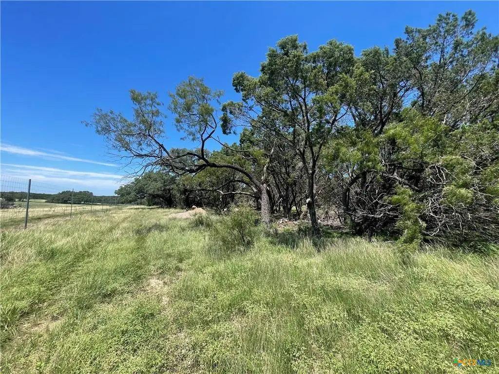 Lot 65 Estate View Circle, Lampasas, TX 76550 - #1
