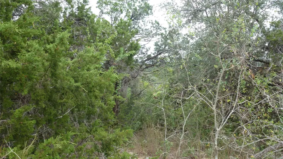 20815 Rawhide Trl, Lago Vista, TX 78645 - Image #2