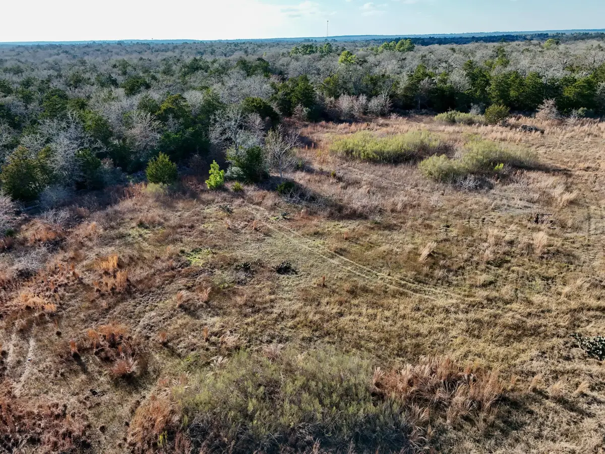 Lot 14 Antioch Rd, Paige, TX 78659 - #1