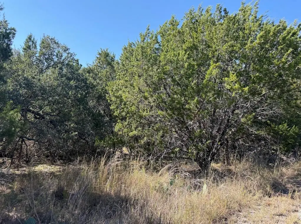 Lot K10037 Drew Drop, Horseshoe Bay, TX 78657 - #1