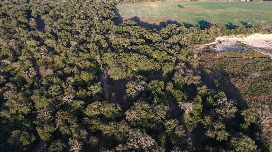 TBD County Road 445 Rd, Lincoln, TX 78948 - Image #3