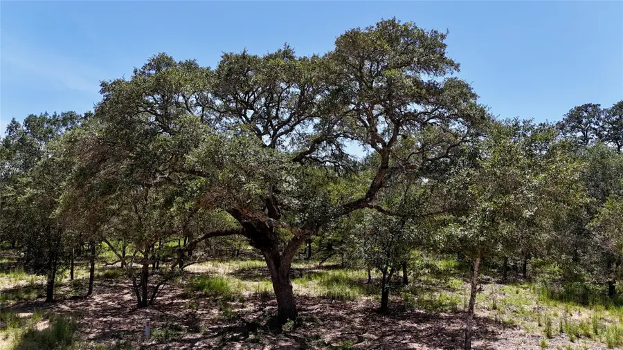 182 County Road 123f, Hallettsville, TX 77964 - #3