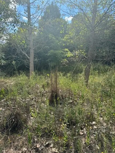 Lots 1338 and 1339 Tahitian Dr, Bastrop, TX 78602 - #2