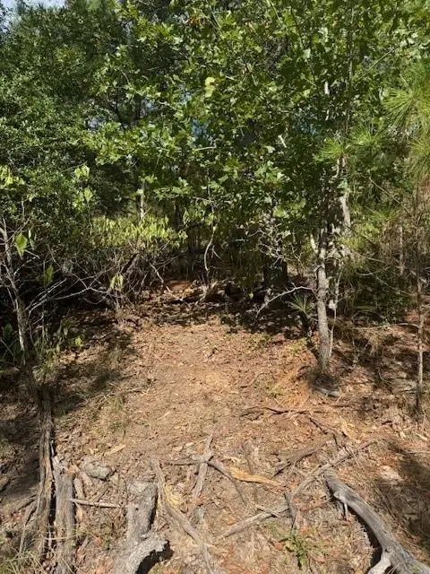 Lots 1338 and 1339 Tahitian Dr, Bastrop, TX 78602 - #3