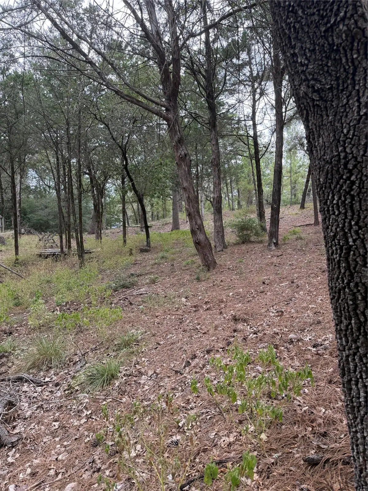 Lot 289 Aka Ct, Bastrop, TX 78602 - #1