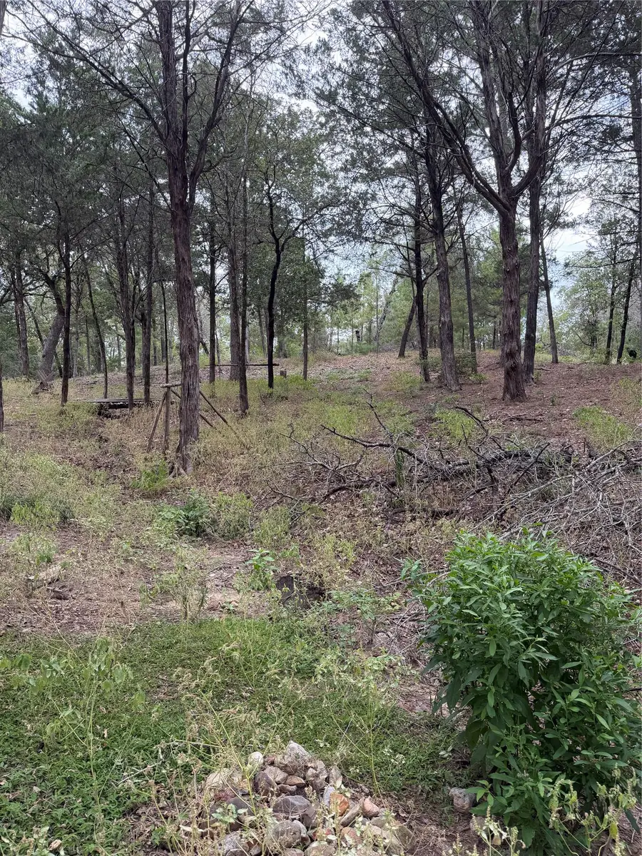 Lot 289 Aka Ct, Bastrop, TX 78602 - #2