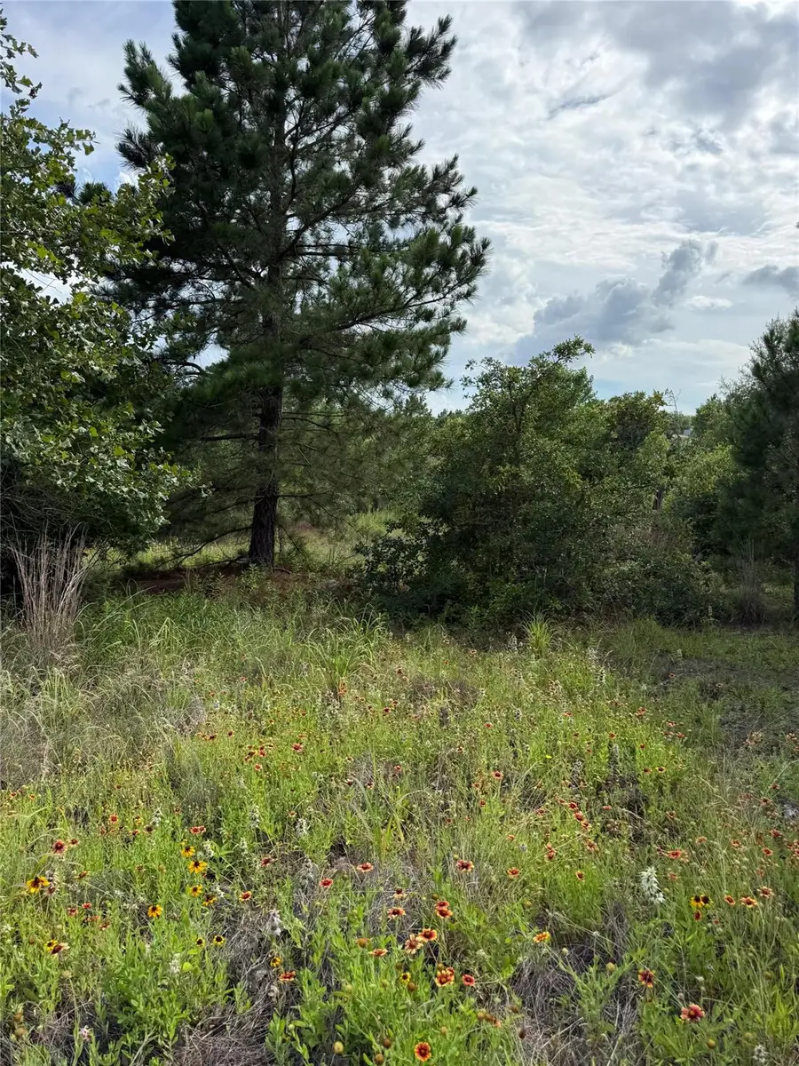 Lots 89-90 Pintail Ln, Bastrop, TX 78602 - #3