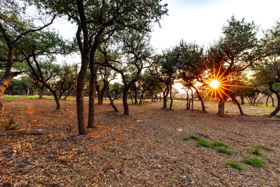 20091 Westlake Pkwy #Lot 1, Georgetown, TX 78628 - #2