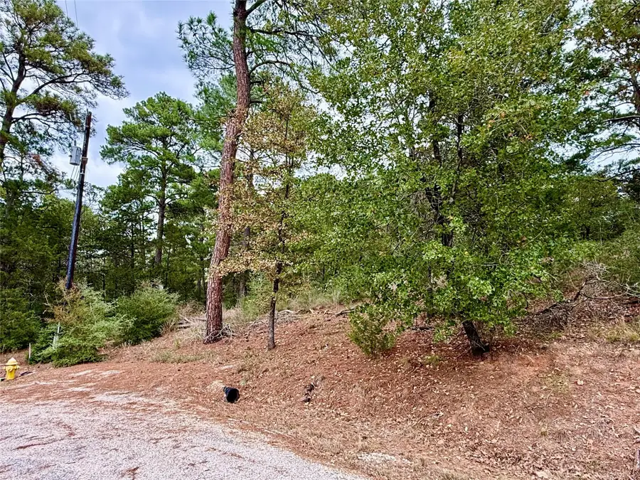 109 and 115 Olomana Ct, Bastrop, TX 78602 - Image #2