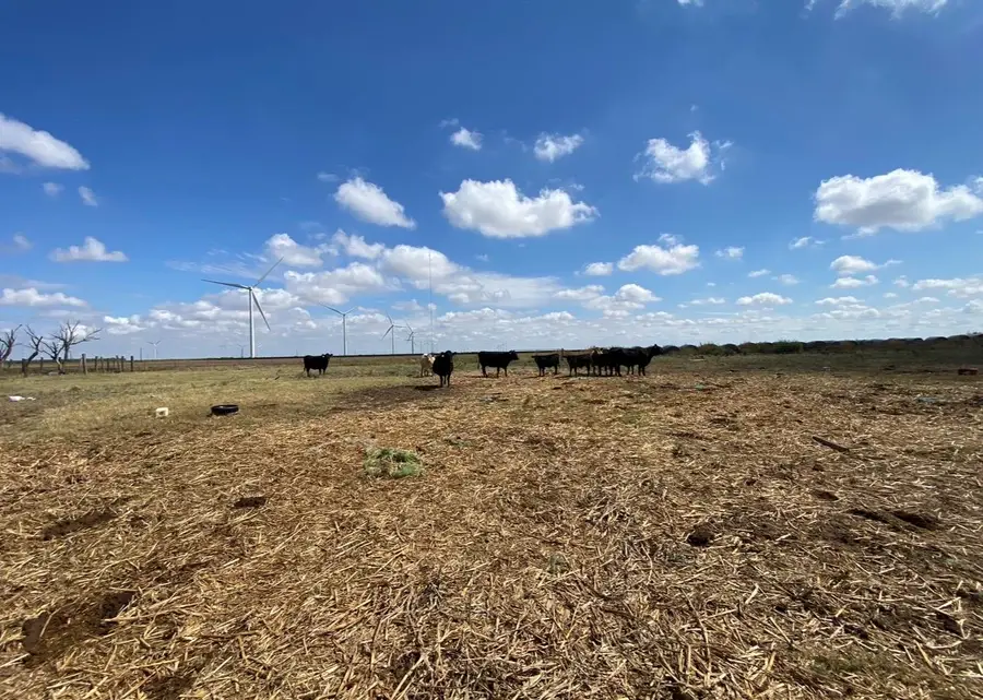 2406 Fm-1080, Weinert, TX 76388 - #3