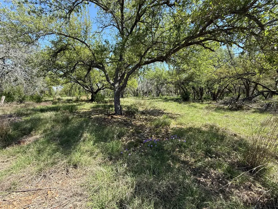 Lot 106 E Flying Owl Dr, Johnson City, TX 78636 - #2