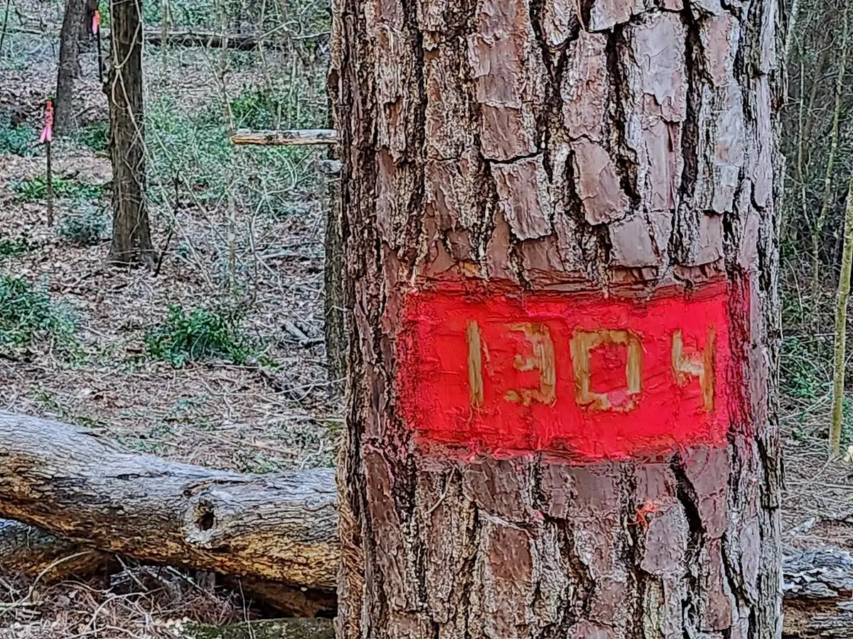 #1