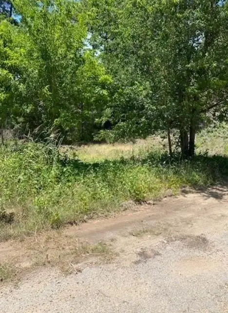 Lot 1123 Koali Dr, Bastrop, TX 78602 - #1
