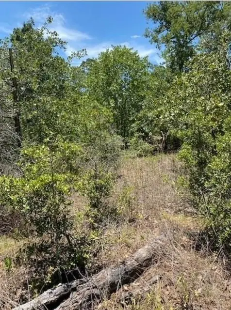 Lot 1123 Koali Dr, Bastrop, TX 78602 - #2