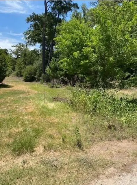 Lot 1123 Koali Dr, Bastrop, TX 78602 - #3